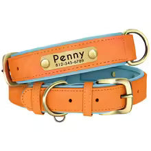 Personalized Leather Dog Collar Leash / Free Custom Pet ID Necklace for Small Large Dogs Pug