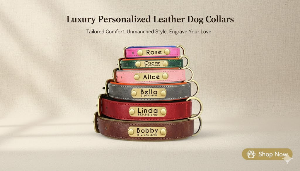 Personalized Leather Dog Collar Leash / Free Custom Pet ID Necklace for Small Large Dogs Pug