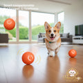 Smart Automatic Dog Toy Ball – Interactive & USB Rechargeable
