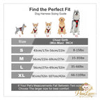 Dog Collars, Harnesses & Leashes – Premium Pet Accessories