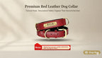 Personalized Leather Dog Collar Leash / Free Custom Pet ID Necklace for Small Large Dogs Pug