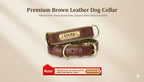 Personalized Leather Dog Collar Leash / Free Custom Pet ID Necklace for Small Large Dogs Pug